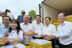 Các đại biểu vui mừng khi lô thanh nhãn 1,2 tấn được xuất khẩu