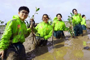 Sinh viên Trường đại học Cần Thơ tham gia trồng cây tại thị xã Vĩnh Châu, tỉnh Sóc Trăng