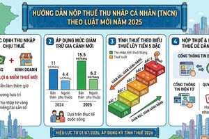 Thu nhập trên 28,6 triệu đồng/tháng mới phải nộp thuế TNCN trong trường hợp nào?