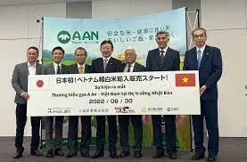 Gạo Việt vào thị trường khó tính