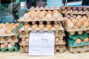 Giá hàng thiết yếu leo thang chưa có điểm dừng ở Argentina