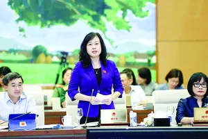 Quyền Bộ trưởng Bộ Y tế Đào Hồng Lan phát biểu tại phiên họp