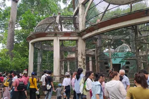 Cấm cũng như không