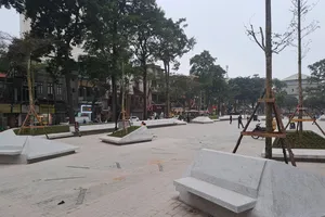 Những hộp bê tông bao quanh gốc cây ở vườn hoa Hàng Đậu (Hà Nội). 