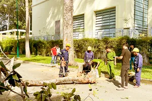 Công an khám nghiệm hiện trường vụ việc. Ảnh: CHÍ THẠCH