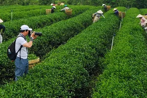 Mong chờ sân chơi nhiếp ảnh chuyên nghiệp, công bằng, hướng đến giá trị sâu sắc