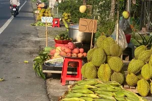 Hình ảnh sầu riêng bán ven Quốc lộ 61C