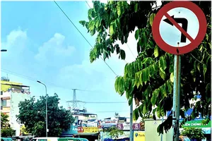 Tiện đâu đi đó