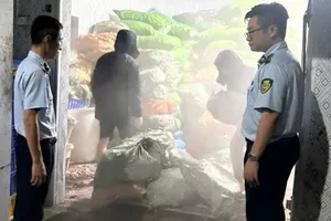 Phát hiện hơn 12 tấn chân gà lậu đã bốc mùi