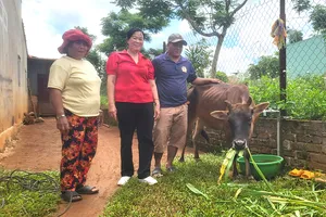 Dự án “Ngân hàng bò” đã hỗ trợ cho anh Y Kă (phường Thắng Lợi, TP Pleiku, tỉnh Gia Lai) một con bò cái để anh có cơ hội phát triển kinh tế 