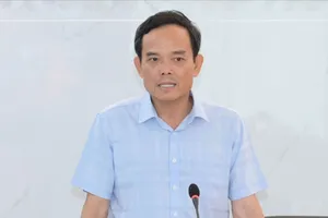 Đồng chí Trần Lưu Quang giữ nhiệm vụ Trưởng Ban Chỉ đạo phòng, chống tham nhũng, lãng phí, tiêu cực TPHCM