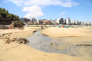 Rà soát, xử lý dứt điểm tình trạng xả thải ở bán đảo du lịch Nhơn Lý (Gia Lai)