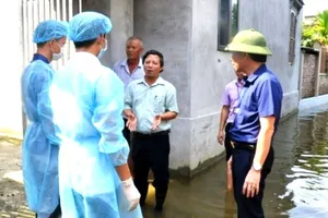 Lập 3 đoàn kiểm tra, hỗ trợ phòng, chống dịch bệnh sau mưa lũ