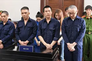 Cựu tiếp viên hàng không lĩnh án 4 năm tù về tội môi giới mại dâm