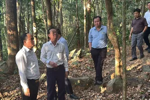 Phó Chủ tịch UBND TPHCM Bùi Minh Thạnh kiểm tra thực địa lô rừng tại Tiểu khu 58 Vườn quốc gia Côn Đảo