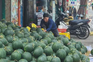 Thị trường trái cây tại TPHCM: Hàng dồi dào, giá rẻ nhưng vắng người mua