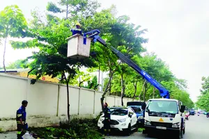 Công nhân cắt tỉa cành nhánh, hạ độ cao cây xanh trên đường Phan Văn Trị, phường Hạnh Thông, TPHCM. Ảnh: THANH HIỀN