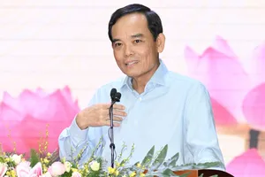 Bí thư Thành ủy TPHCM Trần Lưu Quang: Việc sắp xếp mạng lưới trường học phải thực hiện thận trọng, phù hợp điều kiện từng địa bàn