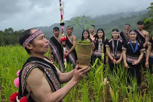 Độc đáo lễ cúng Thần Sâm của đồng bào người Xơ Đăng 