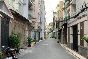 Cây xanh được trồng trật tự tại nhiều con hẻm. Ảnh minh họa