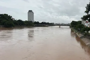 Bão gây mưa to. Nước lũ trên sông Kỳ Cùng lên nhanh. Ảnh: ĐÀI KTTV LẠNG SƠN cung cấp