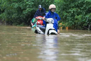 Mưa ở Nam bộ có xu hướng gia tăng