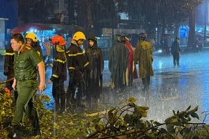 Cây gãy rơi trúng xe máy ở đường An Dương Vương, một người tử vong