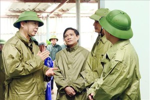 政府副总理陈红河检查河靖省克服台风后果工作。