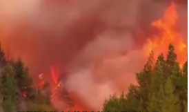 南部丘布特省发生森林火灾。