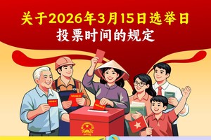 关于2026年3月15日选举日投票时间的规定