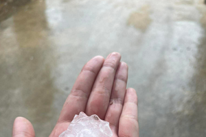 义安省葵州乡民众捡到的冰雹。