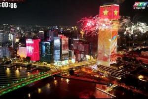 照亮胡志明市夜空的璀璨夺目烟火。