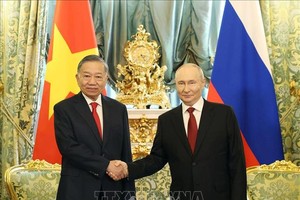 党中央总书记、国家主席苏林与俄罗斯总统普京举行会谈。图自越通社