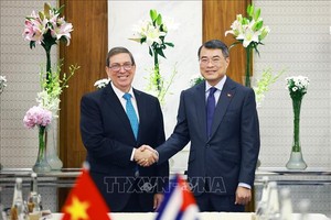 越南政府总理黎明兴接见古巴外长