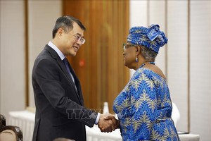 越南政府总理黎明兴接见世界贸易组织总干事恩戈齐•奥孔乔-伊韦阿拉女士。（图片：杨江/越通社）