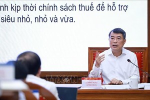 越南政府总理黎明兴发表讲话 图自越通社
