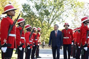 在庄严肃穆的气氛中，越南党中央总书记、国家主席苏林检阅仪仗队。图自越通社