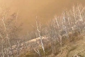加拿大一军事基地发生火灾。图：CBC