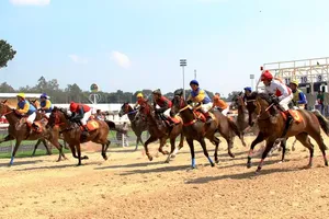 Đề xuất mở rộng phạm vi đặt cược đua chó, đua ngựa, bóng đá quốc tế