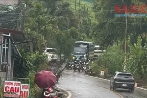 Phát hiện thi thể nữ nhân viên trường học trong rẫy cà phê