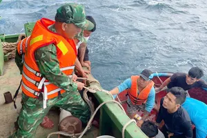 Cứu thành công 12 ngư dân Gia Lai bị nạn giữa biển 