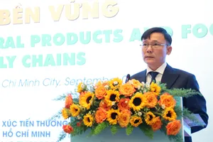 Ông Lê Anh Hoàng, Phó Giám đốc Trung tâm Xúc tiến Thương mại và Đầu tư TPHCM, phát biểu tại hội thảo. ẢNH: MINH XUÂN