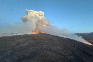 新西兰汤加里罗国家公园发生森林火灾