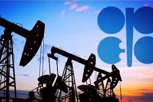 阿联酋宣布将退出欧佩克及“欧佩克+”