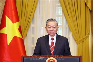 党中央总书记、国家主席苏林偕夫人和越南高级代表团将于2026年5月29日至31日对新加坡进行国事访问。图源：越通社