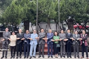 与会代表合影留念。图自越通社