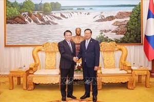 党中央政治局委员、越南公安部部长梁三光大将与老挝人民革命党中央书记处书记、公安部部长万通·贡玛尼上将举行会晤。图：越通社