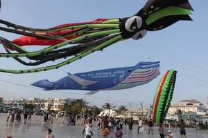 Rực rỡ sắc màu lễ hội diều khổng lồ ở xã Phước Hải