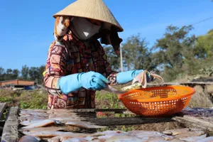 Sôi động thị trường hải sản khô phục vụ Tết