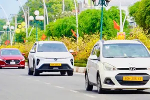 Ấn tượng đường hoa mai vàng khoe sắc rực rỡ ở TPHCM